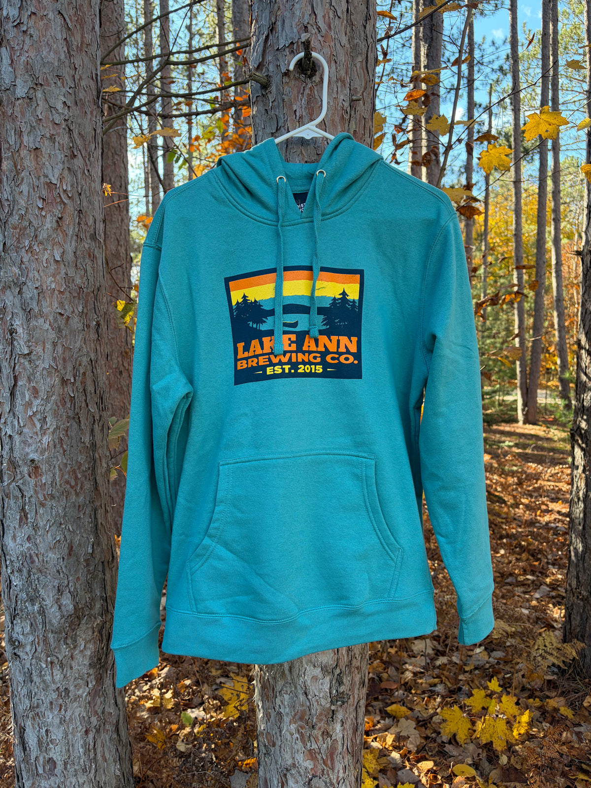 ONLINE ONLY! Turquoise Skyline Hoodie - Slimmer fit